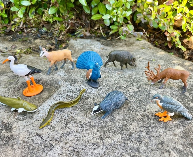 Figurki ze zwierzętami TOOB Safari Ltd.